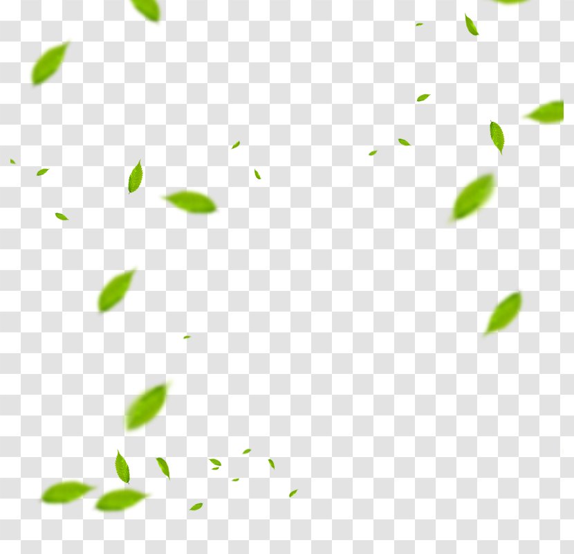 Leaf Euclidean Vector Download - Area - Fly Material Transparent PNG