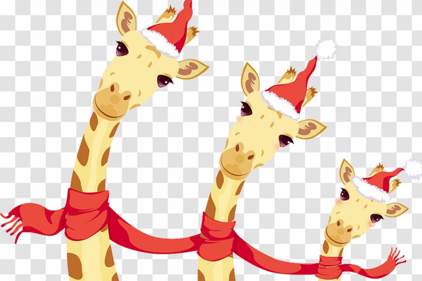 Northern Giraffe Christmas Southern Illustration - Stock Photography Transparent PNG