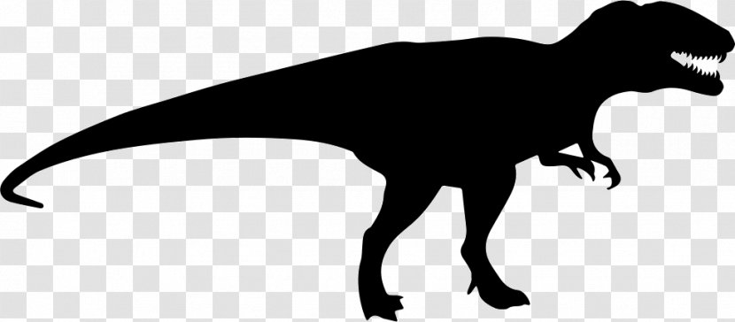 Tyrannosaurus Carcharodontosaurus Dinosaur Stegosaurus Iguanodon - Black And White Transparent PNG