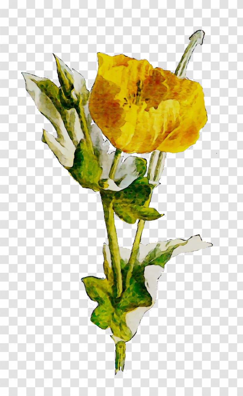 Garden Roses Cut Flowers Yellow Plant Stem - Watercolor Paint Transparent PNG