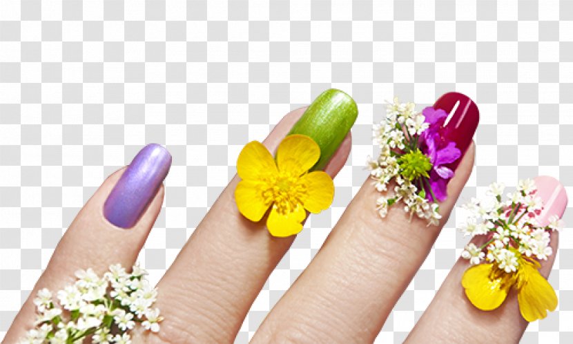 Artificial Nails Manicure Nail Art - Cosmetics - Pedicure Transparent PNG