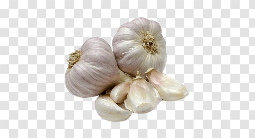 Garlic Elephant Vegetable Plant Food - Rosy Ingredient Transparent PNG