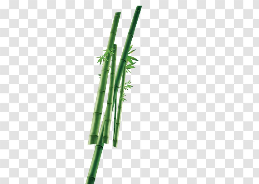 Bamboo Plant Icon Transparent PNG