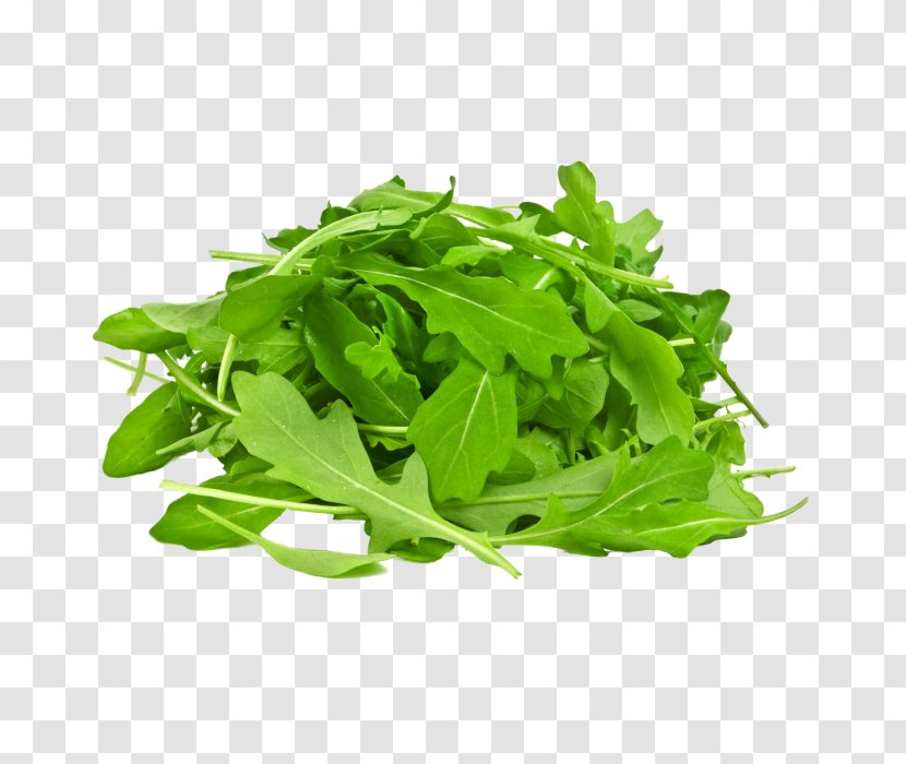 Arugula Vegetable Salad Spinach Organic Food Transparent PNG