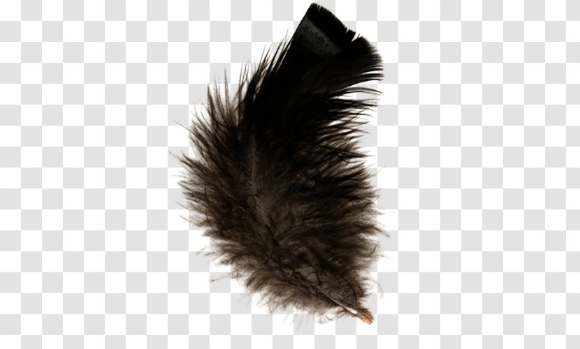 Feather Clip Art - Image File Formats - A Brown Transparent PNG