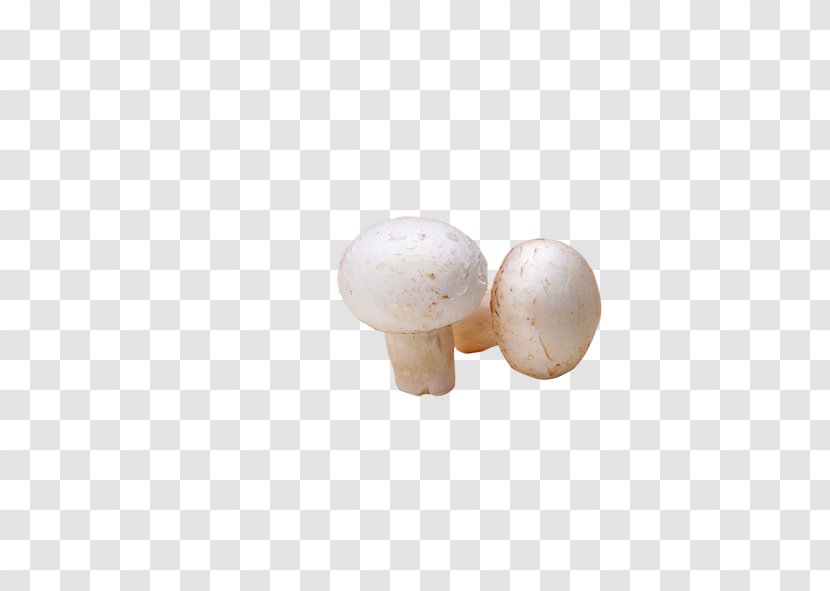 Common Mushroom - White Mushrooms Transparent PNG