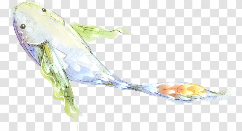 Flying Fish Illustration - Fauna - Lovely Hand-painted Transparent PNG