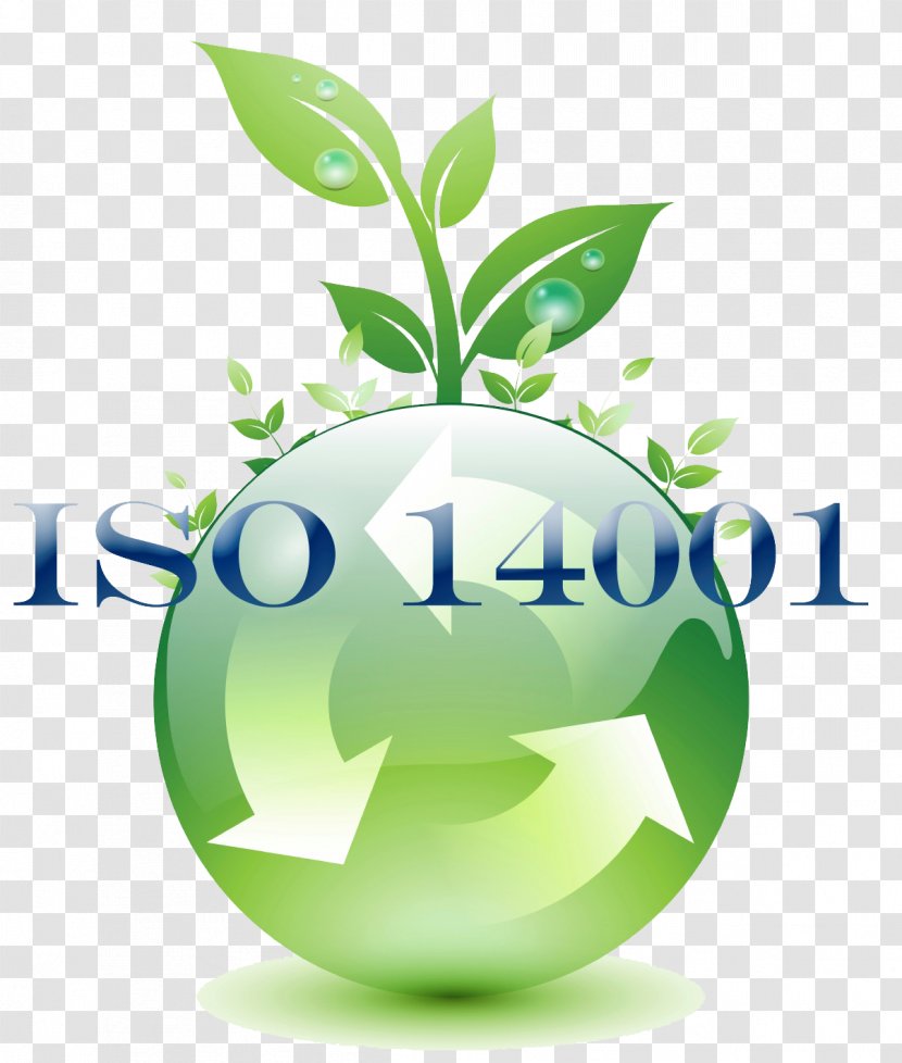 ISO 14000 Environmental Management System International Organization For Standardization 9000 - Continual Improvement Process - Care The Environment Transparent PNG