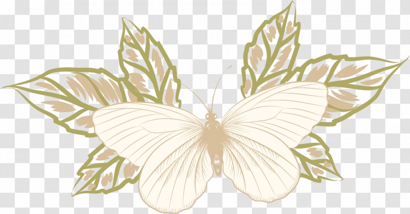 Butterfly Drawing - Flora - Hand Painted Material Transparent PNG
