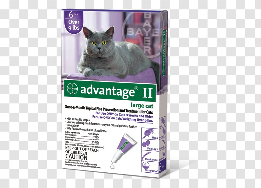 Cat Flea Treatments Dog Imidacloprid/permethrin/pyriproxyfen Kitten Transparent PNG