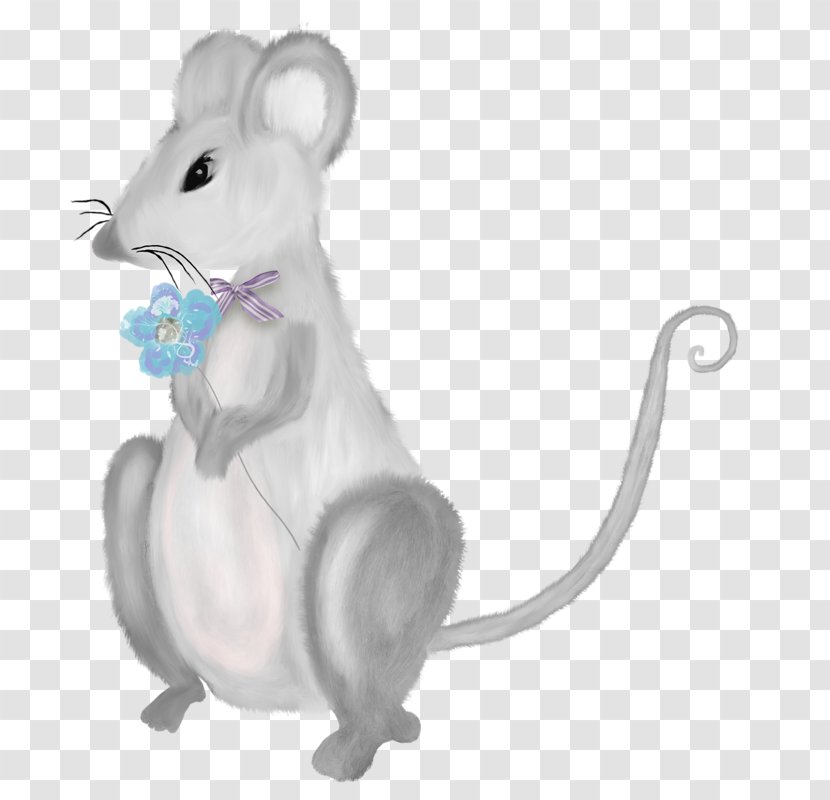 Computer Mouse Rat Gerbil - Software - Marry Transparent PNG