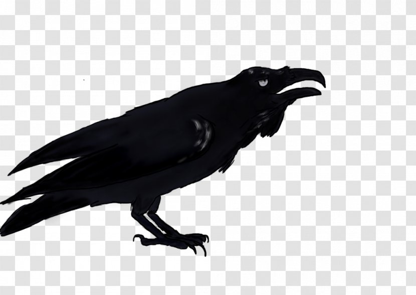 American Crow New Caledonian Common Raven Transparent PNG