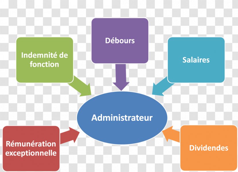 Board Member Of Directors Organization Remuneration Administrateur Salarié - Logo Transparent PNG