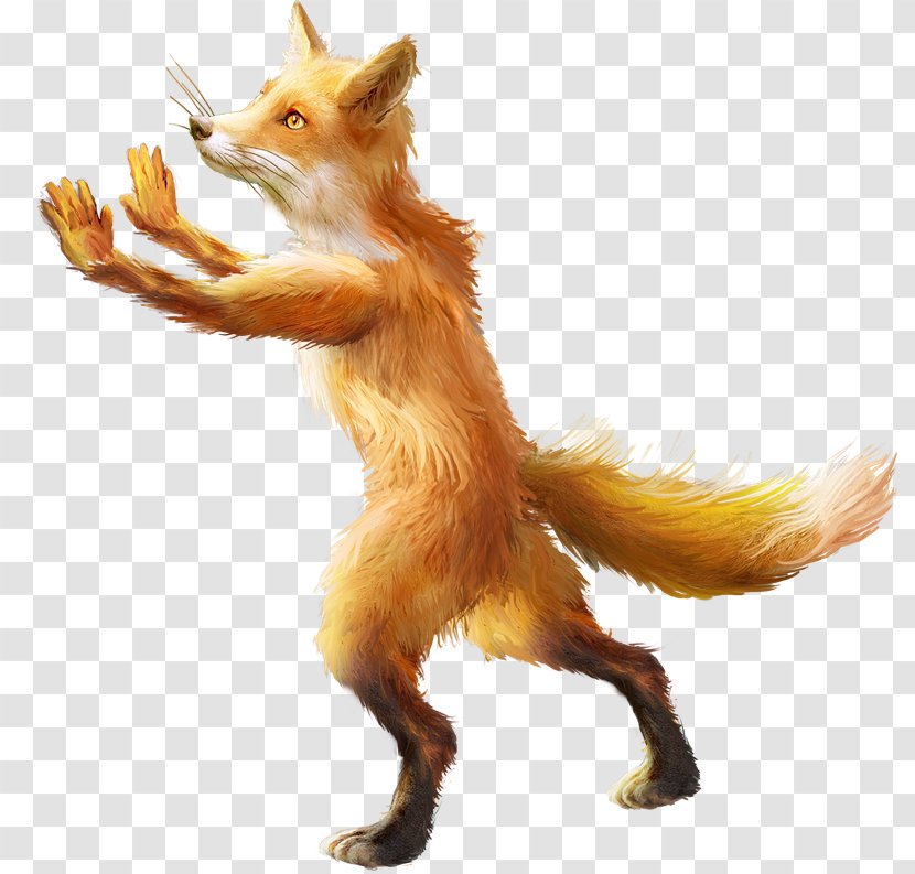 Red Fox Clip Art Image Dhole - Snout - Tiger 1 131 Transparent PNG