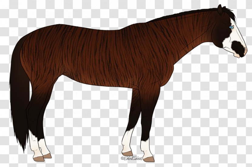 Mane Mustang Stallion Foal Mare - Bridle - Horse Tack Transparent PNG