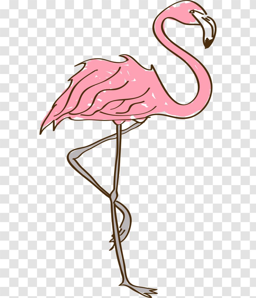 Common Ostrich Drawing Clip Art - Cartoon Painted Transparent PNG