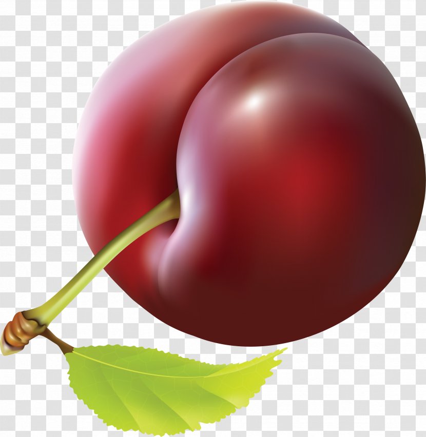 Fruit Plum Clip Art - Food - Image Transparent PNG