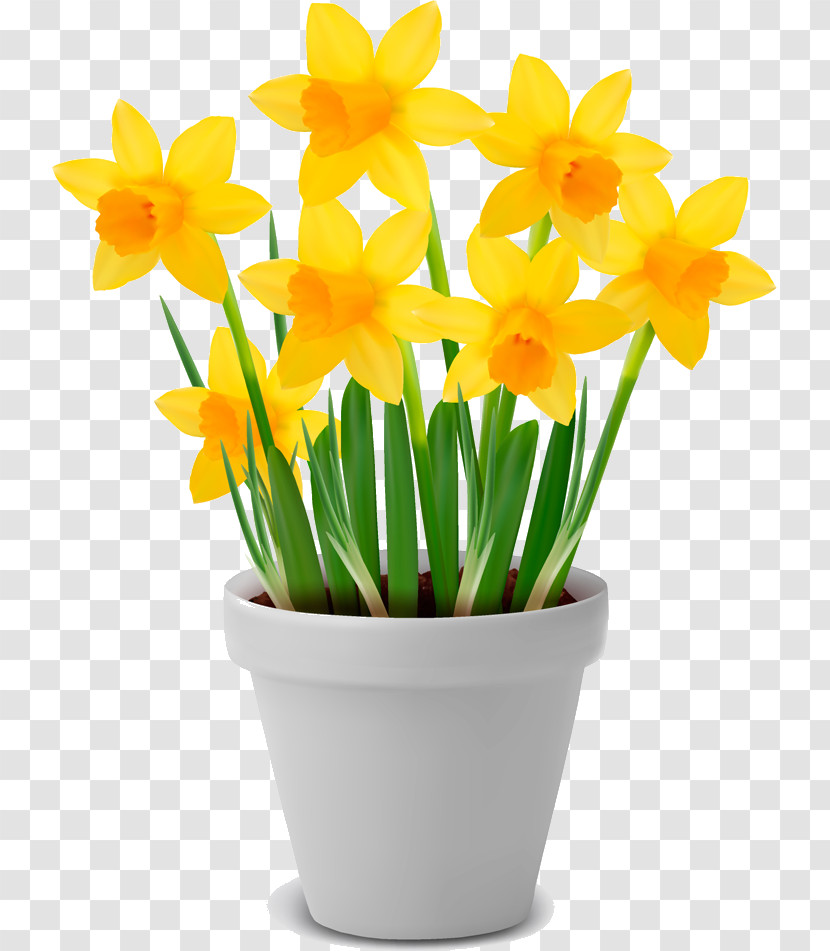 Flower Floral Vase Transparent PNG