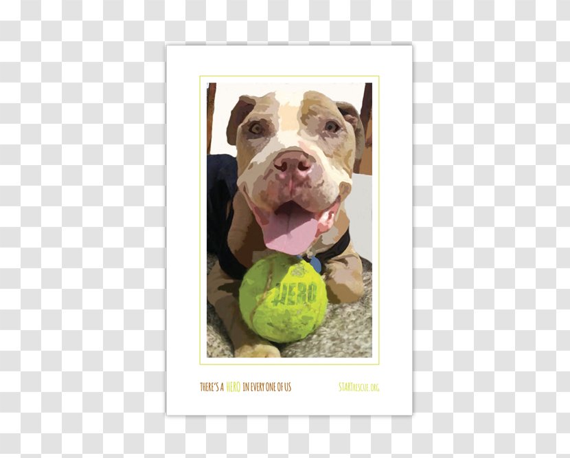 Dog Breed American Pit Bull Terrier Snout - Rescue Heroes Transparent PNG