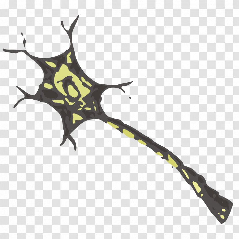 Neuron Nervous System Cell Nerve Brain - Tree - Neurons Transparent PNG