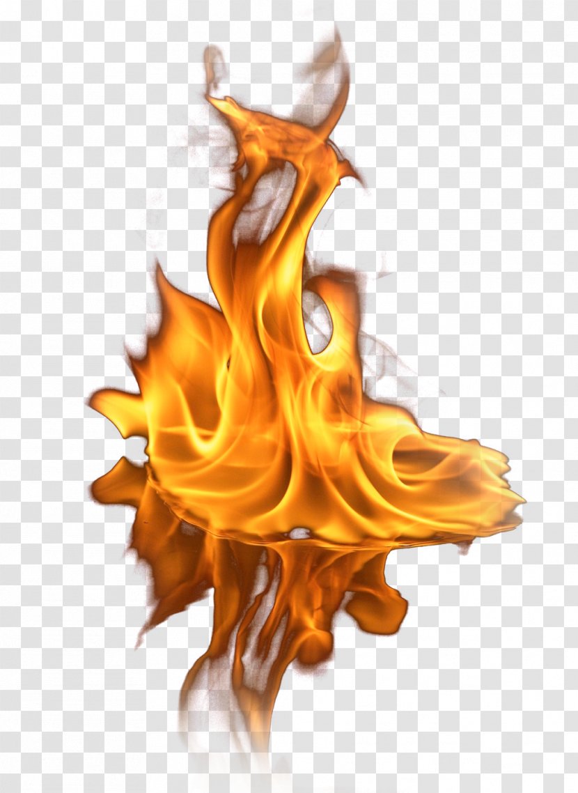 Fire Flame - Fictional Character - Cool Transparent PNG