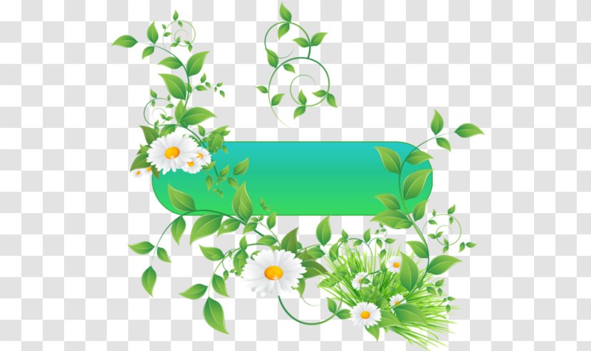 Green Tripleurospermum RGB Color Model - Floral Design - Chamomile Transparent PNG