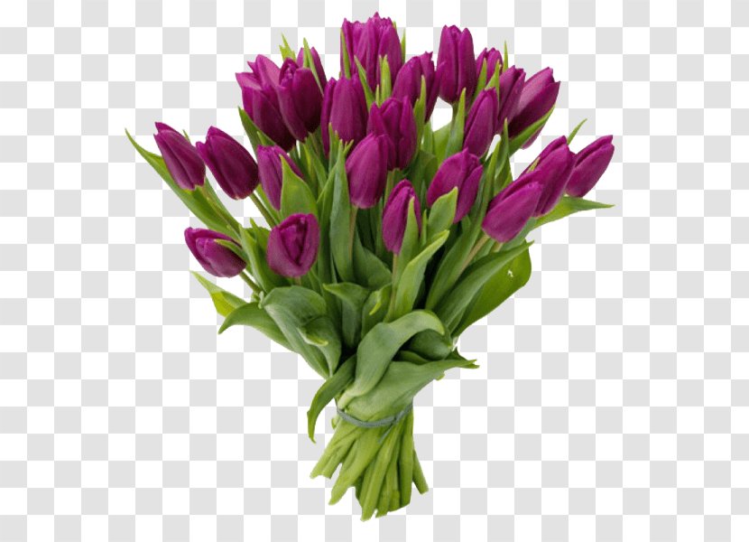 Tulip Flower Bouquet Gift Purple Transparent PNG