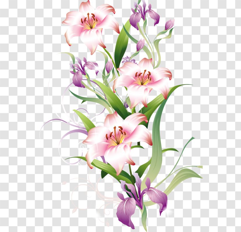 Lilium Bulbiferum Flower Clip Art - Pink - Hand-painted Lily Transparent PNG