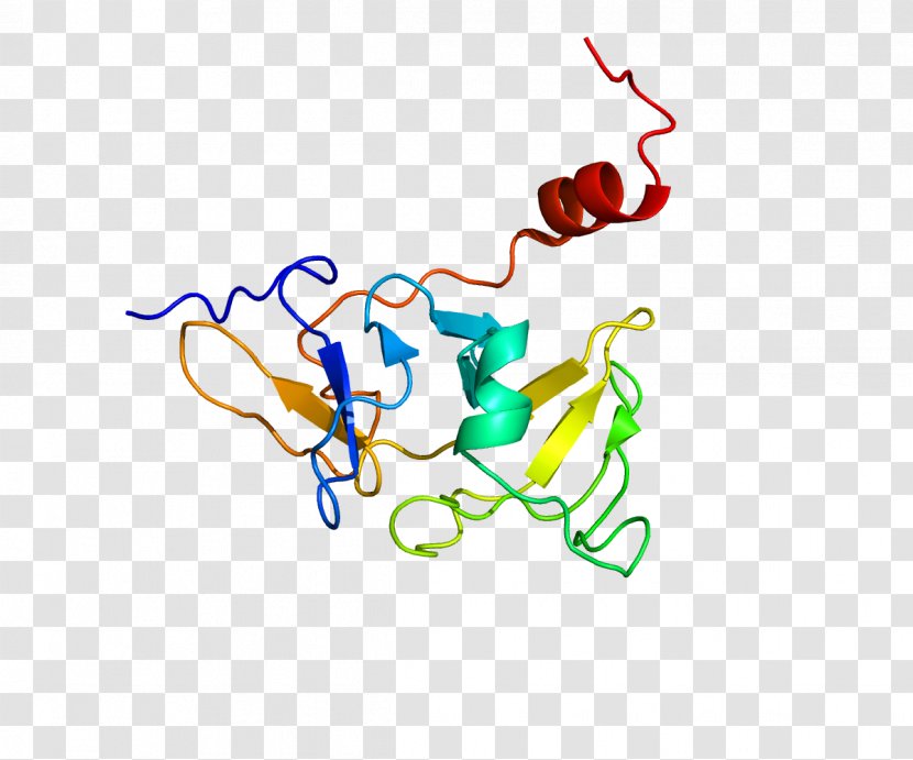 LGP2 RIG-I-like Receptor Helicase Gene - Physiology - Rigilike Transparent PNG