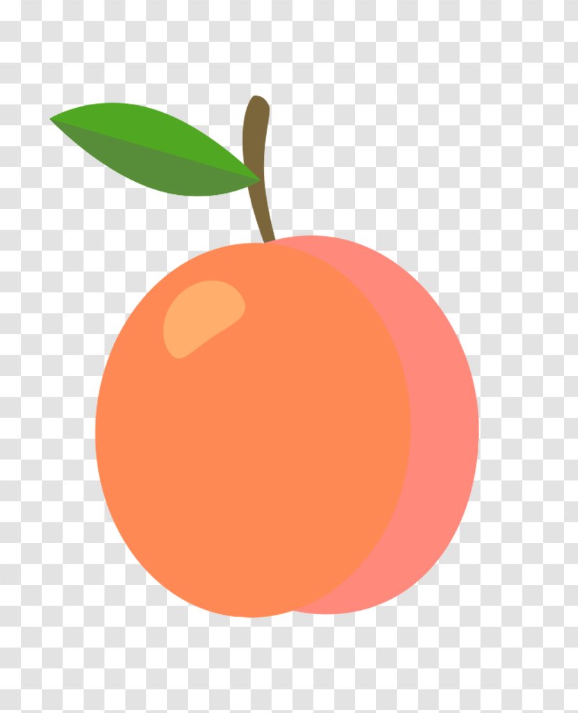 Grapefruit Saint-Mamet Apricot Fruit Exotique - France - Anatomy Transparent PNG