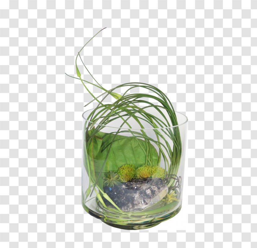 Table-glass Flowerpot Grasses Herb - Plant - Glass Transparent PNG