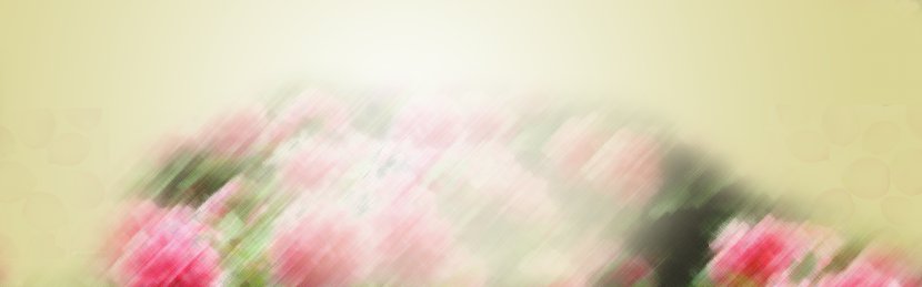 Floral Design Drawing Wallpaper - Flower Arranging - Sketch Background Transparent PNG
