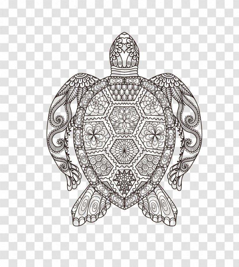 Coloring Book Adult Doodle Drawing Child - Art - Vector Turtle Transparent PNG