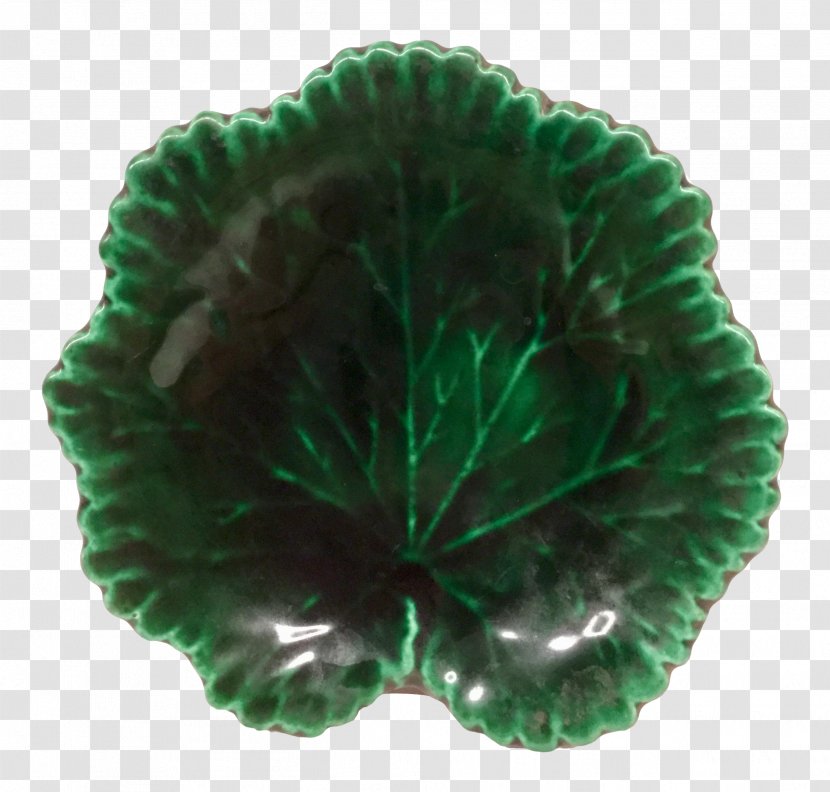 Teal - Organism - Leaf Transparent PNG