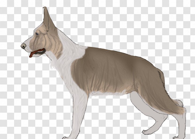 Dog Breed Canaan Snout Tail - Rolling Stone Transparent PNG