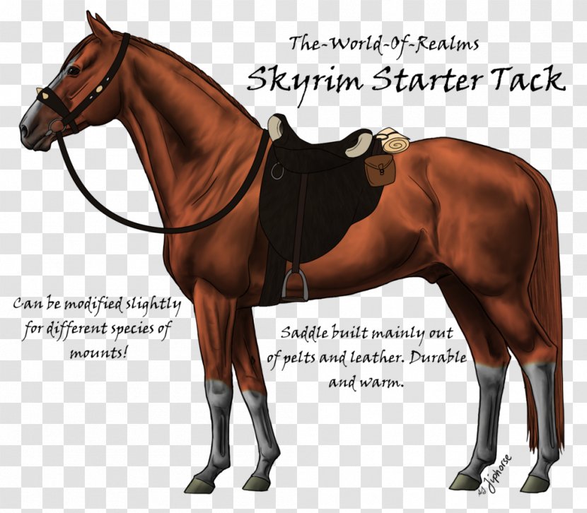 Arabian Horse Akhal-Teke Thoroughbred Stallion Colt - Hunt Seat - Skyrim Map Transparent PNG