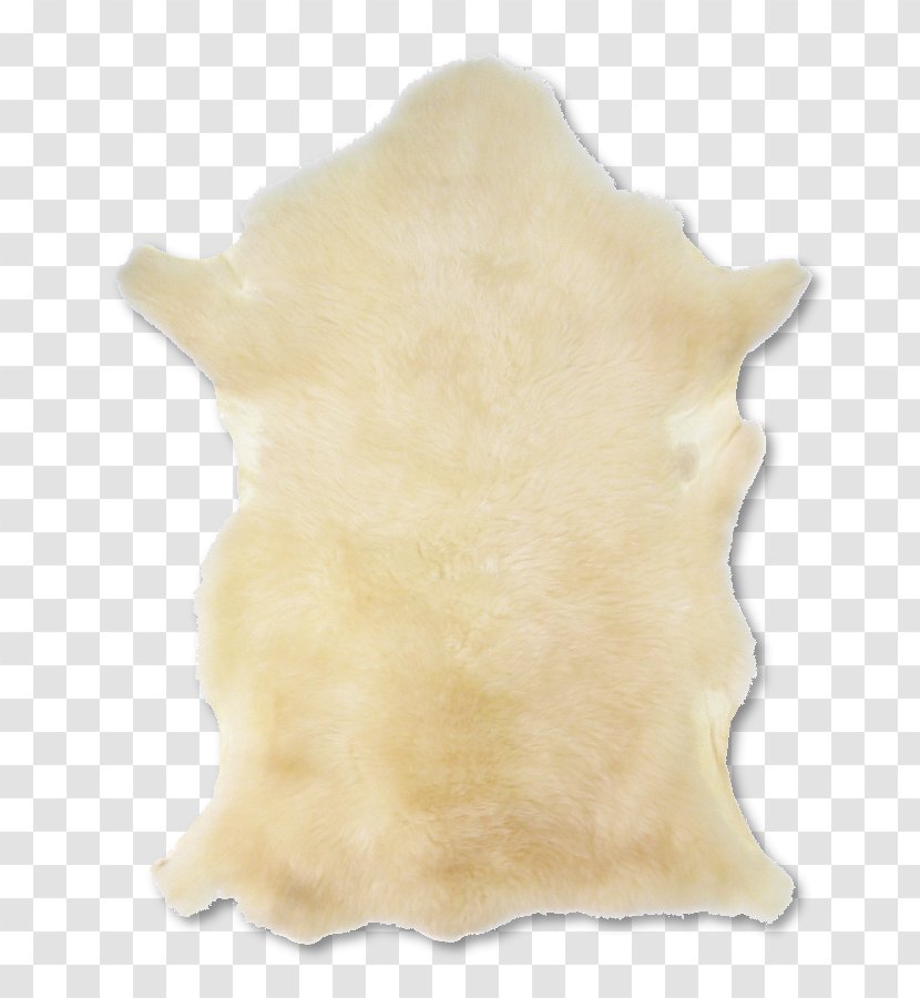 Fur - Sheep Furry Transparent PNG