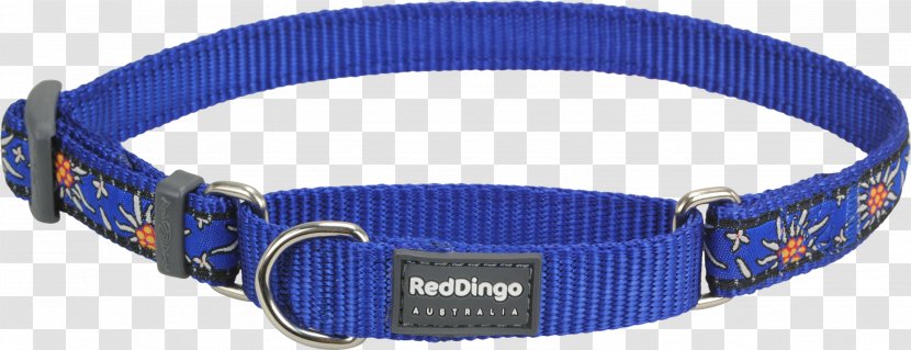 Dog Collar Dingo Martingale - Blue Transparent PNG