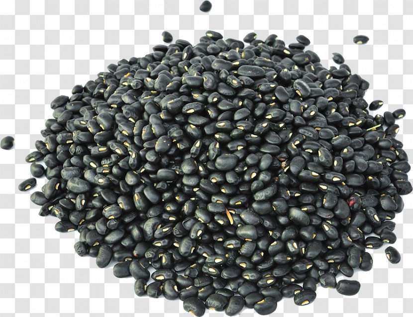 Black Turtle Bean Minestrone Sprouting - Beans Transparent PNG