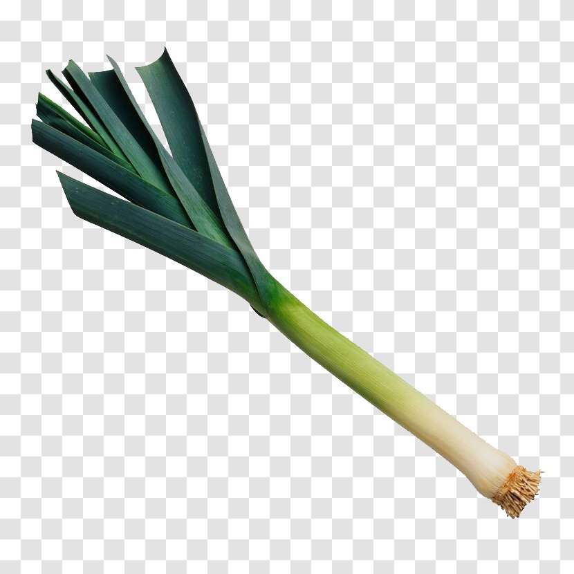 Leek Vegetable Food Cooking - Recipe - Garlic Transparent PNG