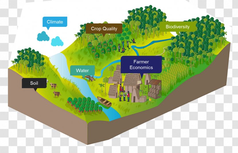 Biome Urban Design - Ecosystem Transparent PNG