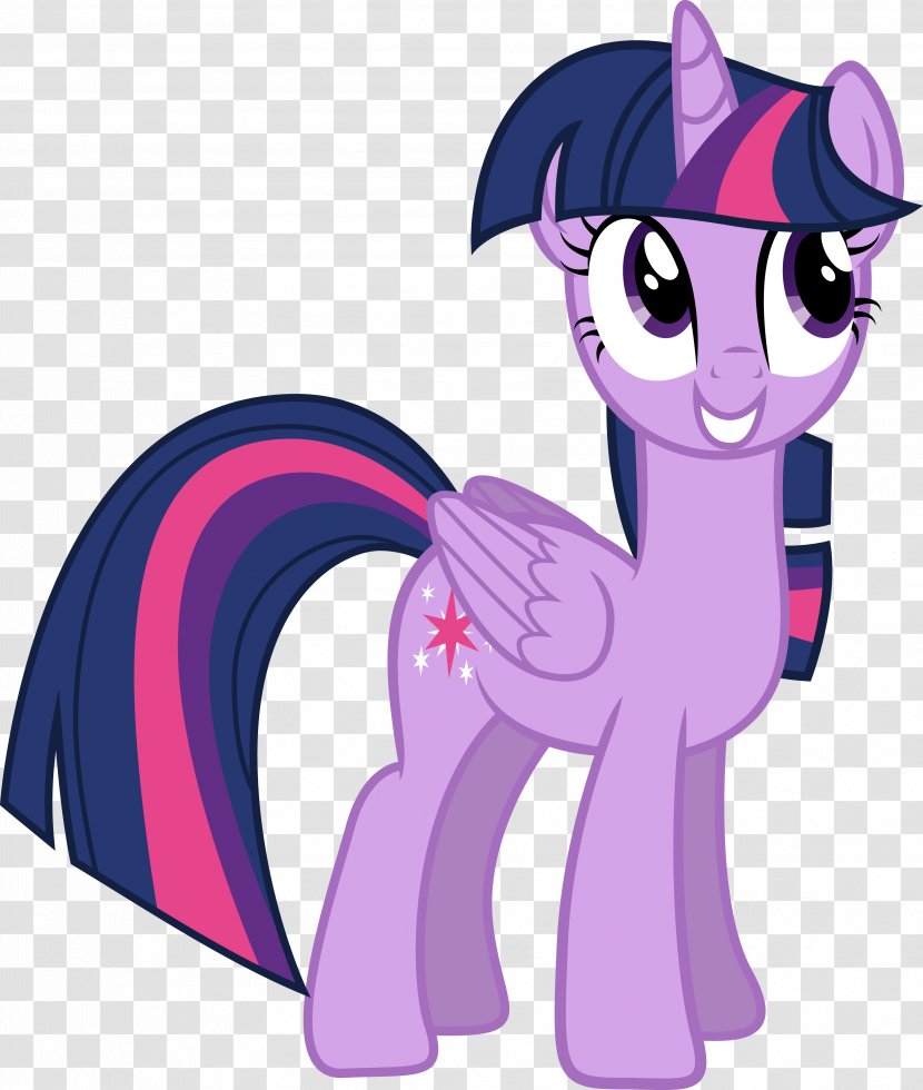 Twilight Sparkle Rarity Rainbow Dash Pony Winged Unicorn - My Little Transparent PNG