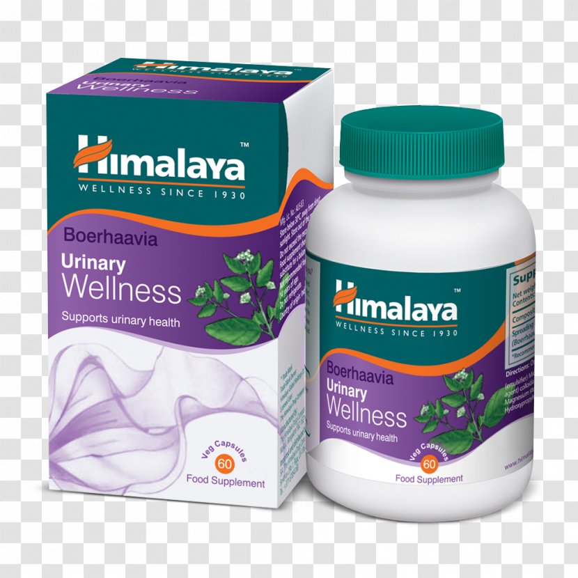 Dietary Supplement The Himalaya Drug Company Rennet Bindii Health - Large Intestine Transparent PNG