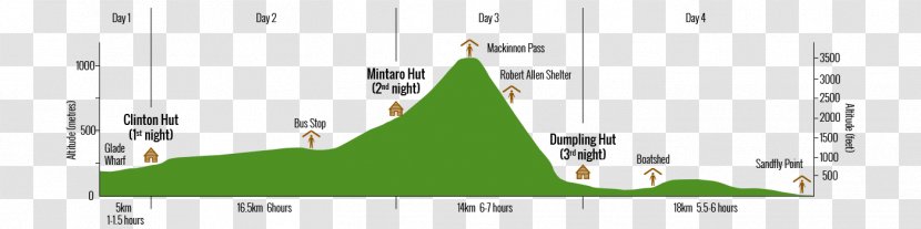 Milford Track Queenstown Triangle Hiking Energy - Grass - October 2019 Transparent PNG