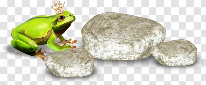 The Frog Prince Clip Art - Stone Transparent PNG