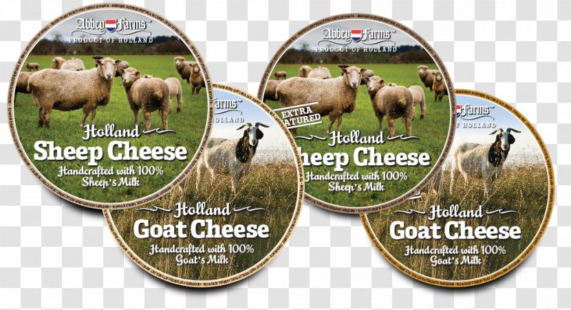 Goat Cheese Gouda Milk Transparent PNG