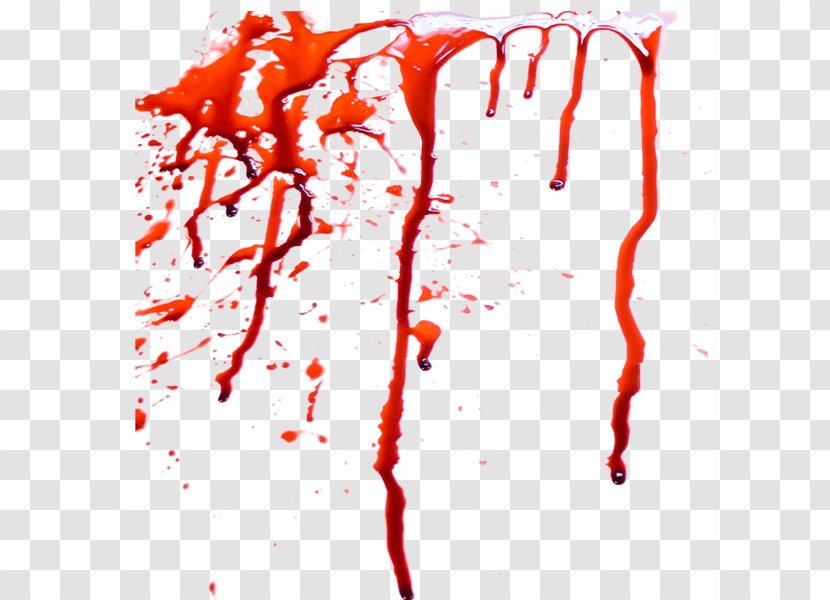 Blood Rendering - Flower - Image Transparent PNG