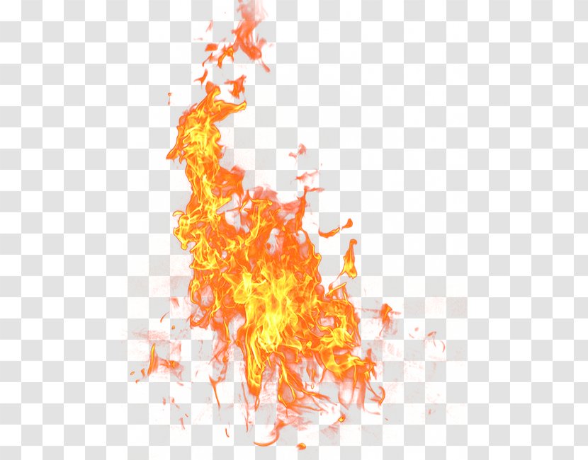 Fire - Display Resolution - Flame Transparent PNG