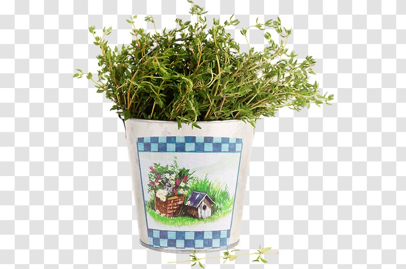 Pianta Aromatica Herb Plant Thymes Grass - Flowerpot - Aromatic Transparent PNG