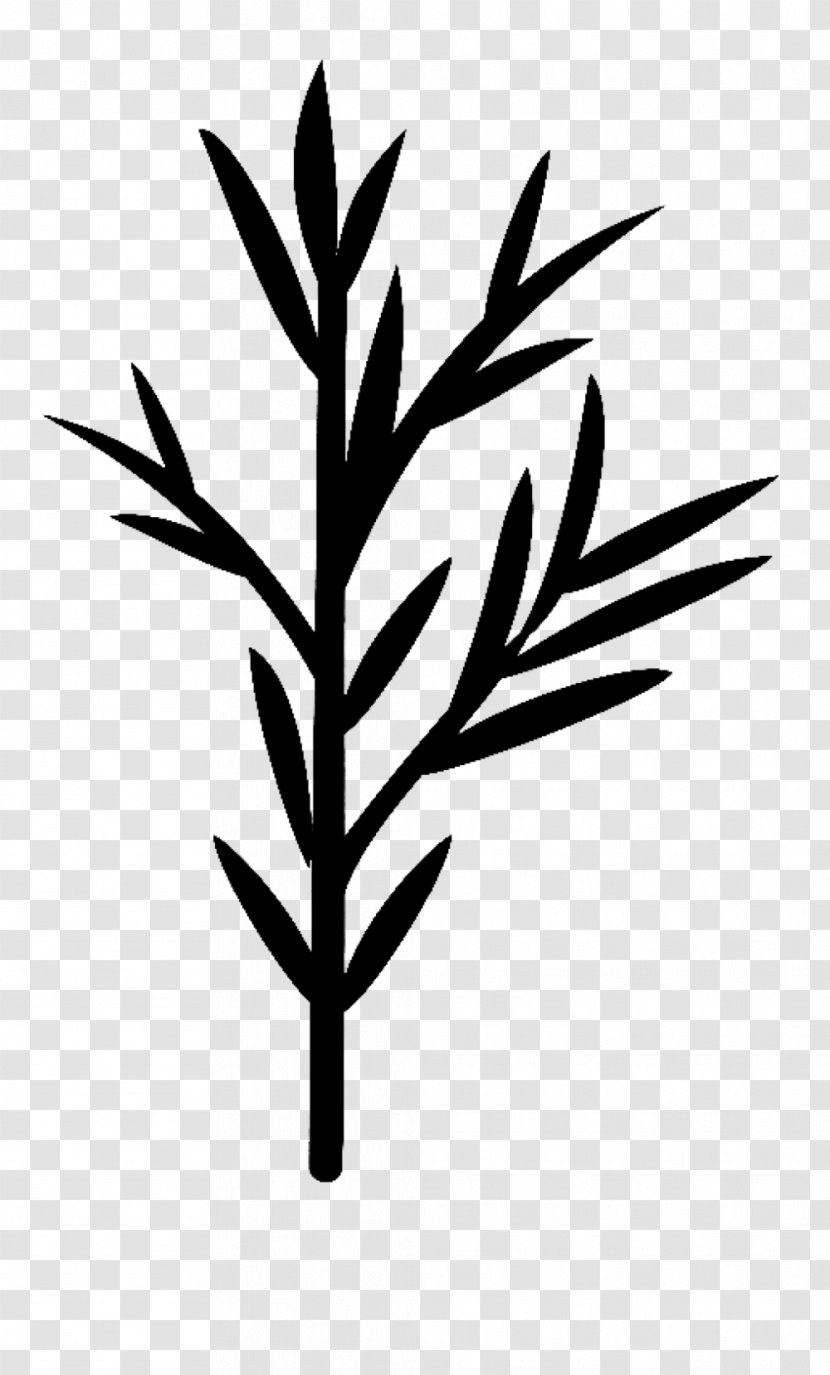 Plant Stem Leaf Flower Font Commodity - Blackandwhite - Logo Transparent PNG